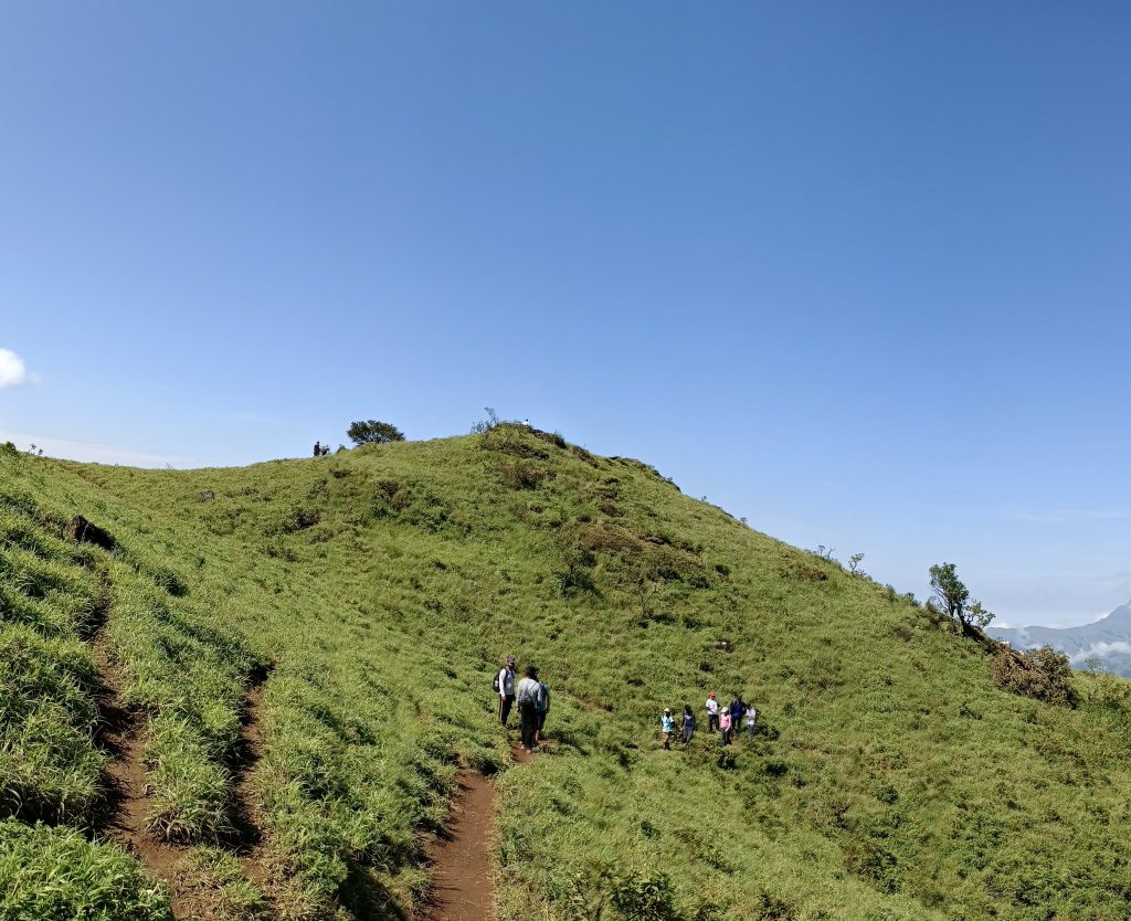 bandaje trek