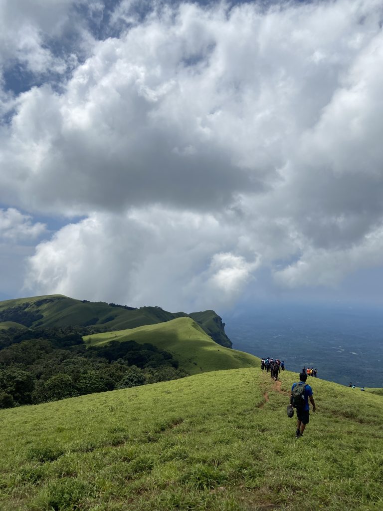 bandaje trek