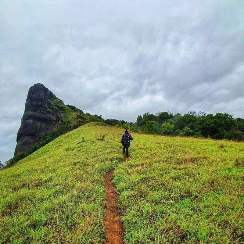 kurinjal-peak-trek