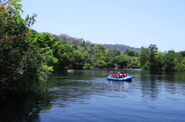 Dandeli