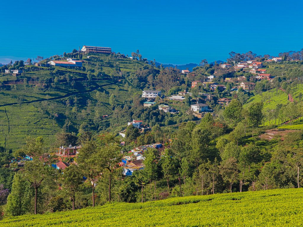 ooty