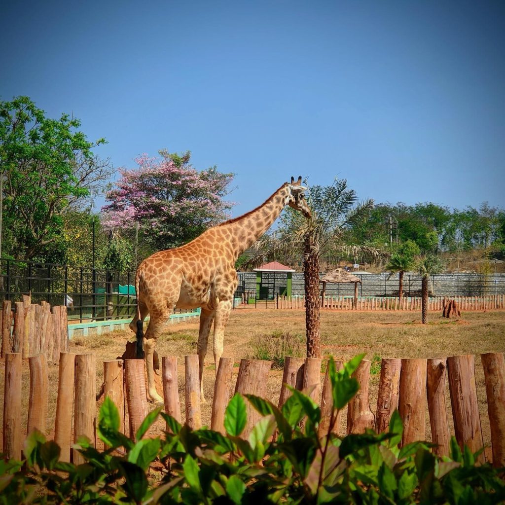 Bannerghatta Biological Park