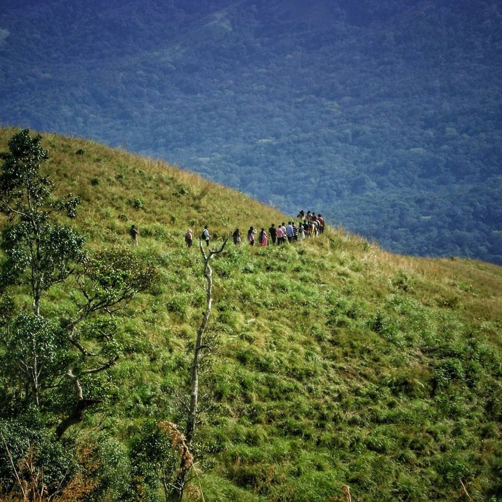 Pakshipathalam Trek Cover