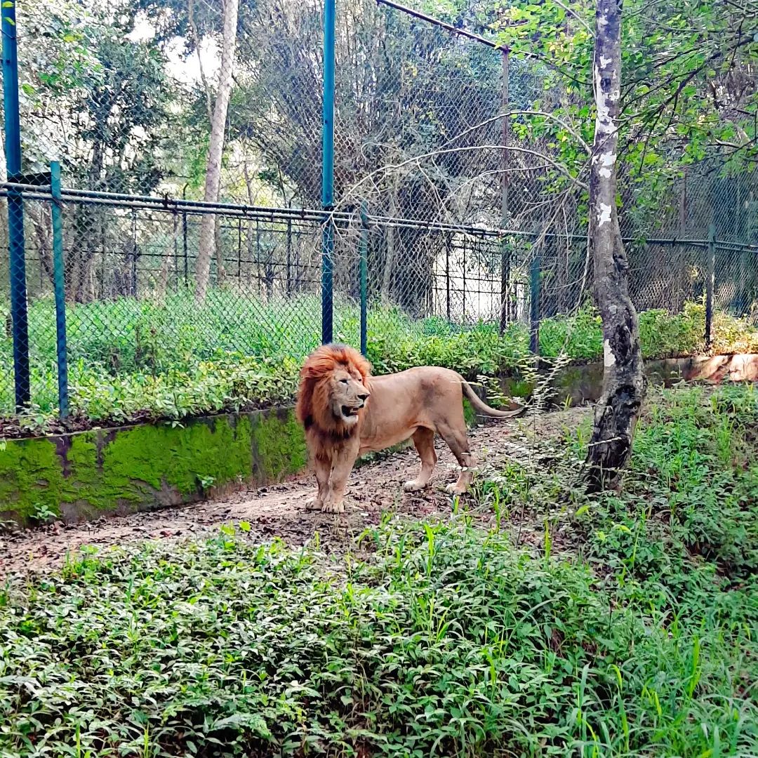 Bannerghatta National Park