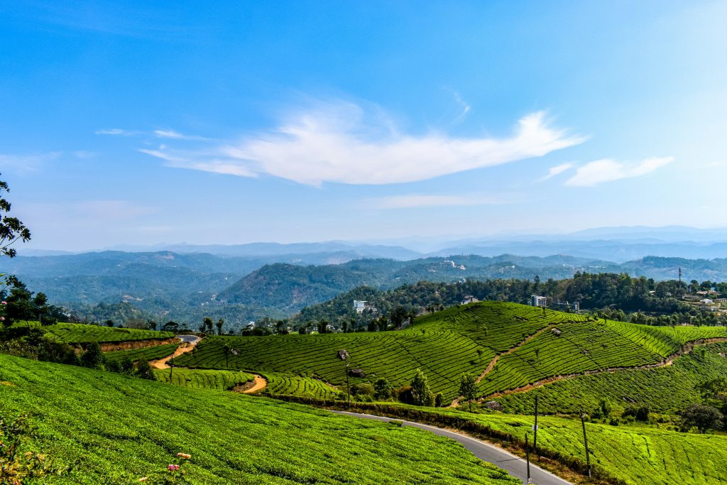 devikulam munnar cover