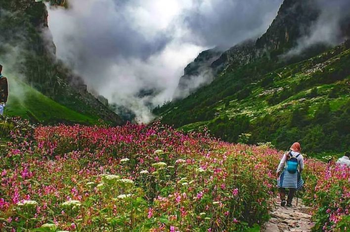 valley of flowers cover