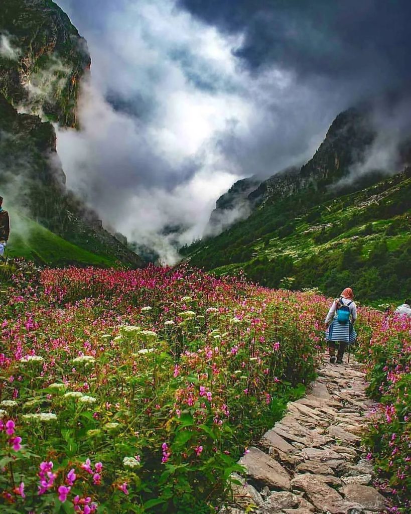 valley of flowers cover