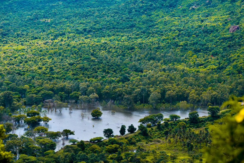 Devarayanadurga Lake View