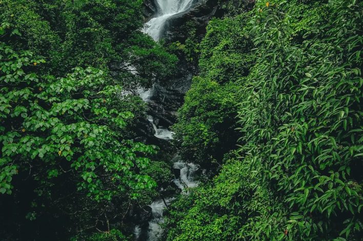 Kadambi Waterfalls, kudremukh falls