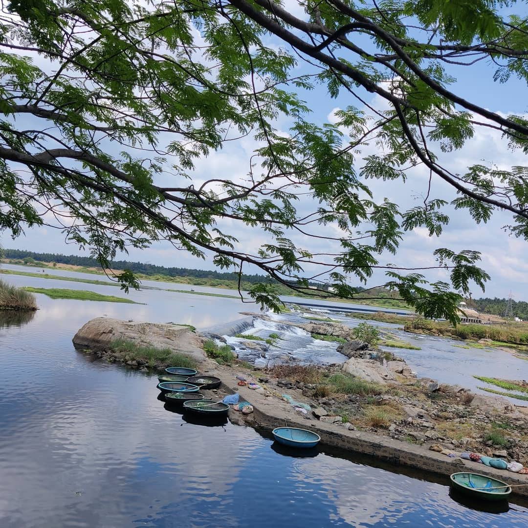 Kaveri River