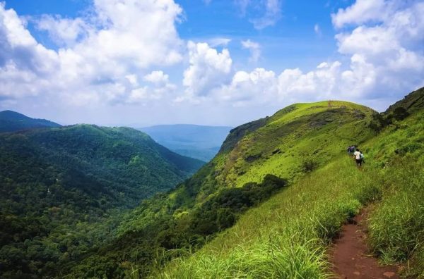 Z Point Trek Path, Treks in Karnataka, Sakleshpur Tourist Places