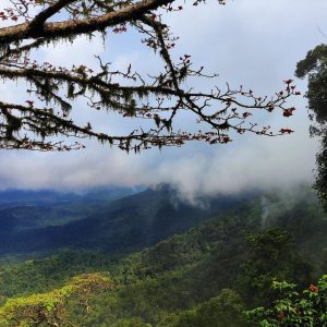 agumbe