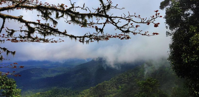 agumbe