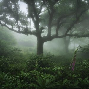 Agumbe