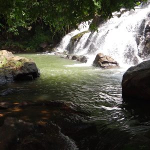 Aruvikkuzhi Waterfalls