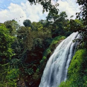 Chelavara Falls