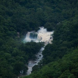 Chinnar Wildlife Sanctuary devikulam munnar