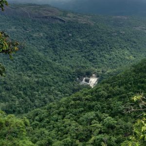 Chinnar Wildlife Sanctuary