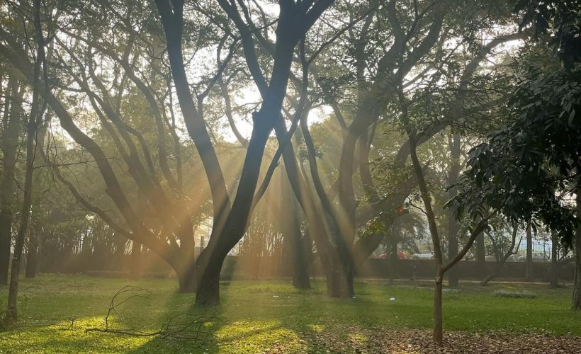 Cubbon Park