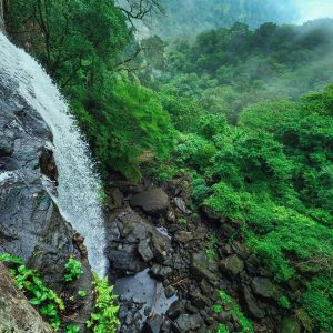 Gavi thekkady places to visit