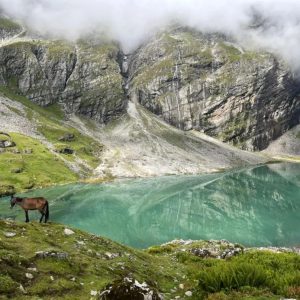 Hemkund Sahib Valley of flowers