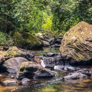 Iruppu Falls