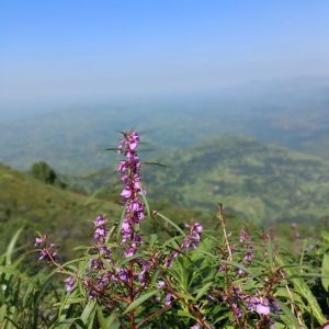 Kalsubai Peak