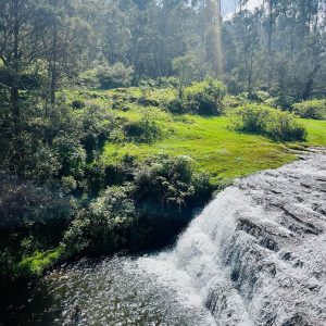 Kodaikanal falls