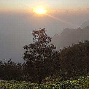 Kolukkumalai Sunrise trek