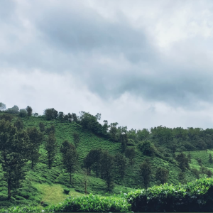 Kudremukh Trek