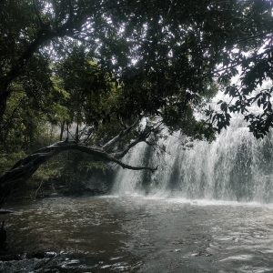 Thommankuthu Waterfalls