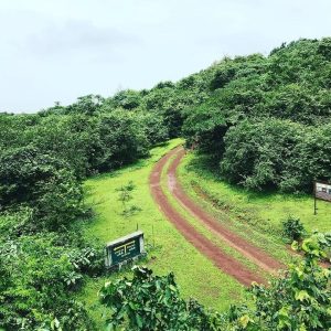 Ulipooni Wildlife Sanctuary vagamon tourist place