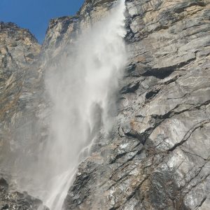 Vasudhara Falls valley of flowers