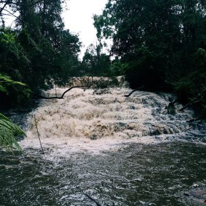 Vattakanal Falls