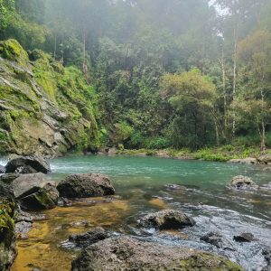 agumbe