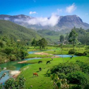 anamudi peak devikulam munnar