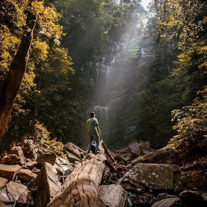 arasinagundi waterfalls trek