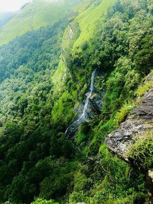 bandaje trek