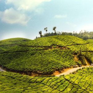 munnar idukki