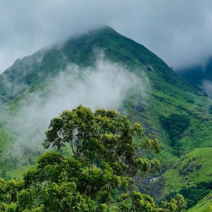 brahmagiri hill trekking near mysore 1