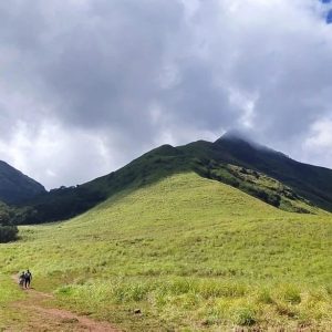 chembra peak trek 3