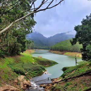 echo point munnar