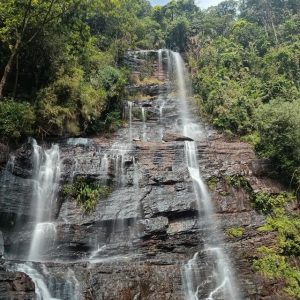 jhari falls chikmagalur hill