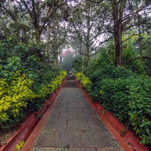 nandi hills 3