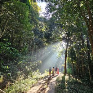 nature walks valley national park