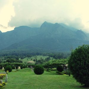 nilgiri hill ooty