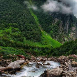 valley of flowers 1